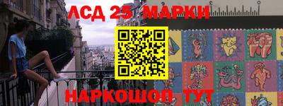 МДПВ Кингисепп