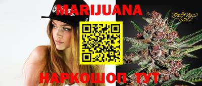 МДПВ Кингисепп