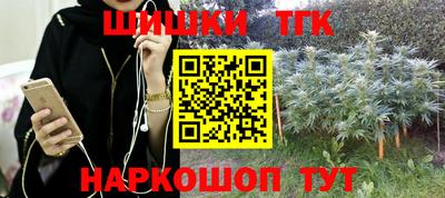 МДПВ Кингисепп