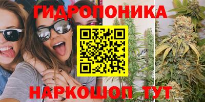 спайс Кинель
