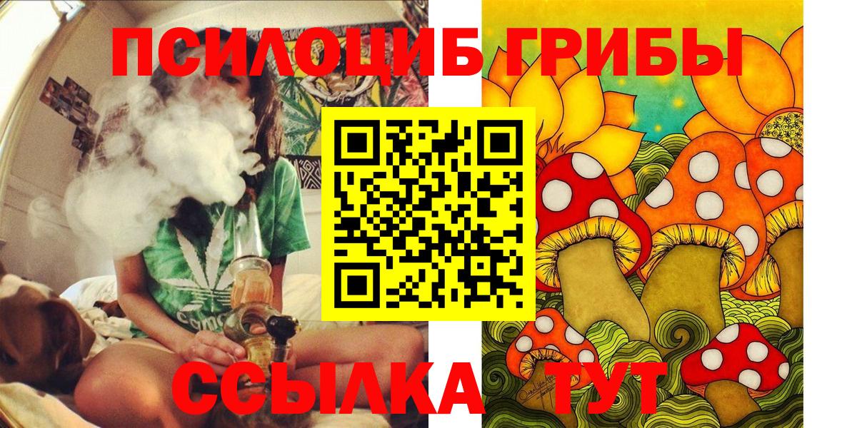 Галлюциногенные грибы Psilocybe Омск