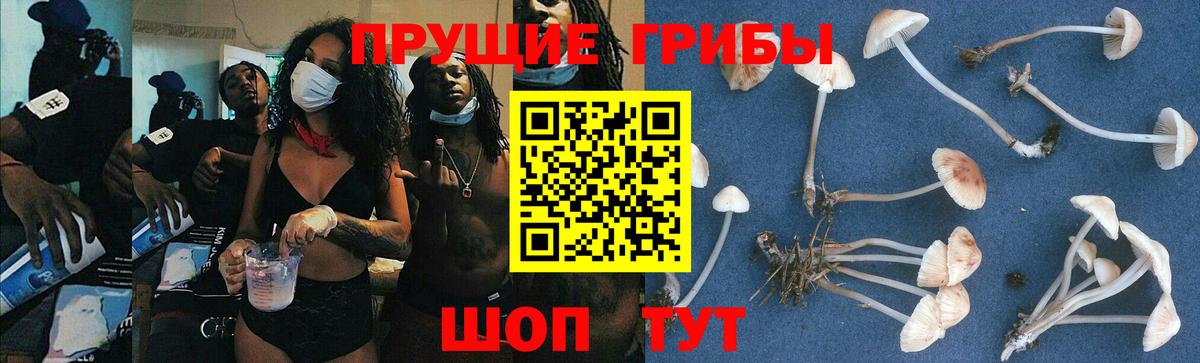 Псилоцибиновые грибы прущие грибы  Вход с VPN  Омск 